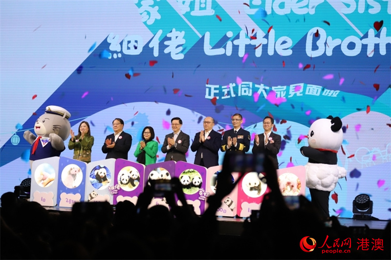 “大熊貓龍鳳胎寶寶亮相儀式”在港舉行。人民網(wǎng) 吳宇揚(yáng)揚(yáng)攝