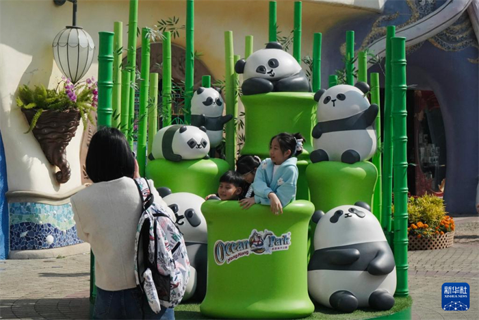 游客在香港海洋公園內(nèi)的一處大熊貓卡通裝置“打卡”拍照（2025年1月16日攝）。新華社記者 褚萌萌 攝