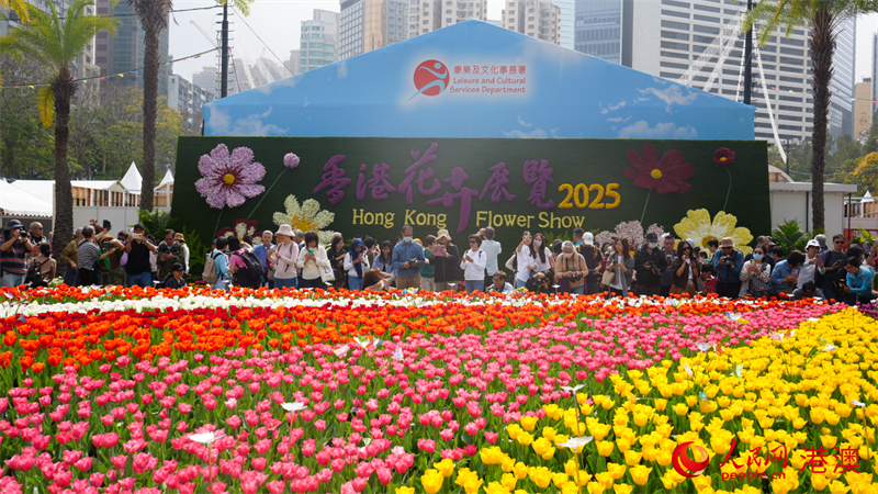2025年香港花卉展覽開(kāi)幕。人民網(wǎng) 嚴(yán)小晶攝