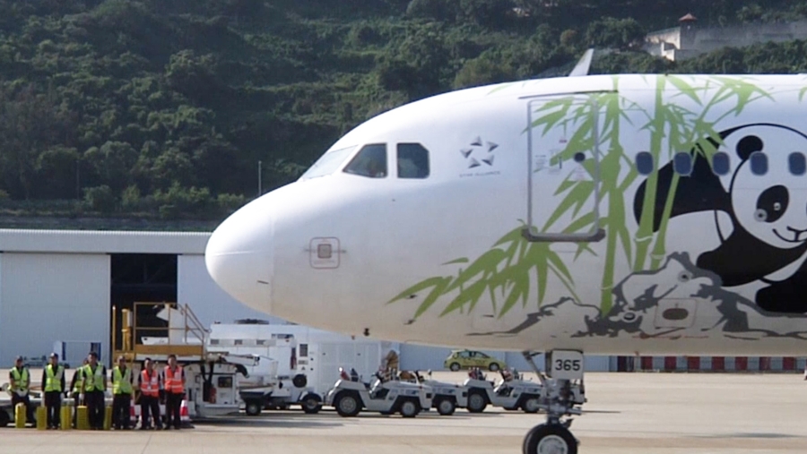大熊貓“開開”“心心”抵達澳門。澳門特區(qū)政府新聞局視頻資料截圖