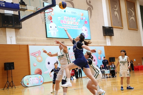 “活力全運”聯(lián)校賽事3人籃球賽大學(xué)女子組比賽現(xiàn)場。主辦方供圖