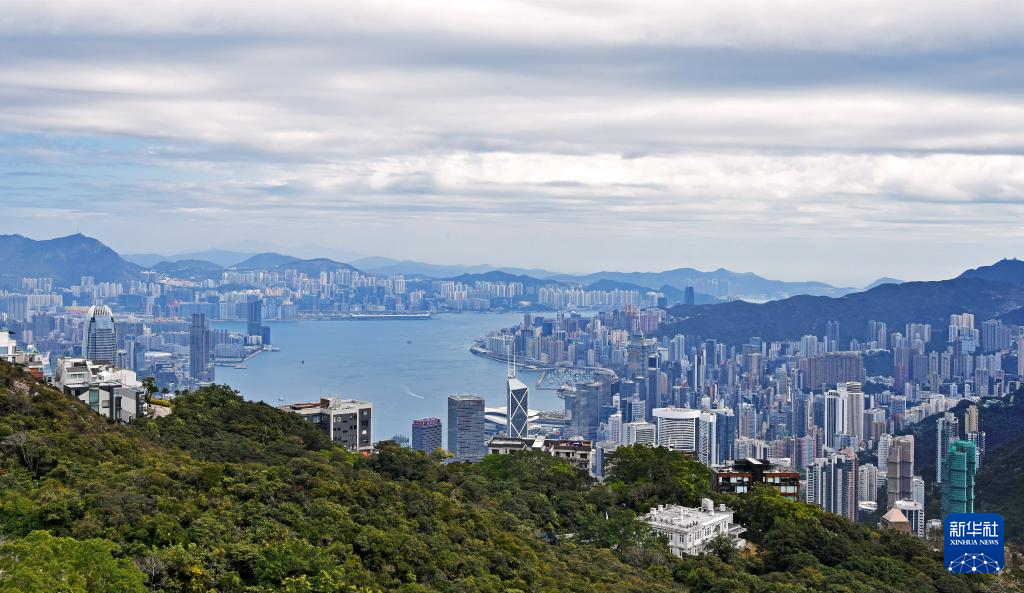 這是2025年2月11日拍攝的香港城市風(fēng)光。新華社記者 陳鐸 攝